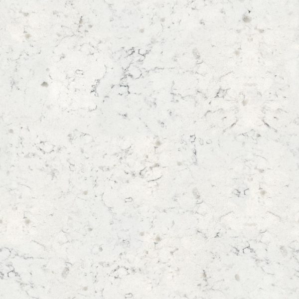 Savoyv-600x600